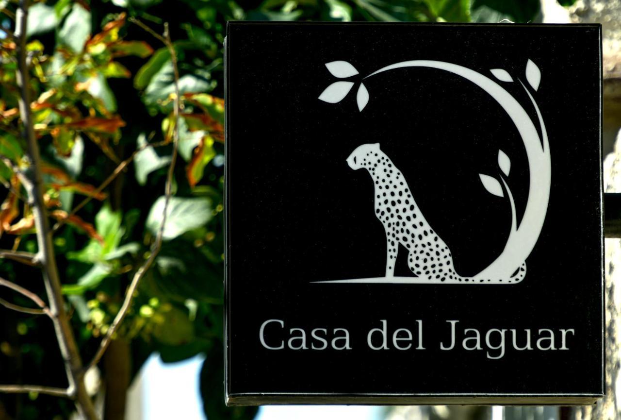 Casa Del Jaguar Beach Hotel Ilha das Mulheres Exterior foto